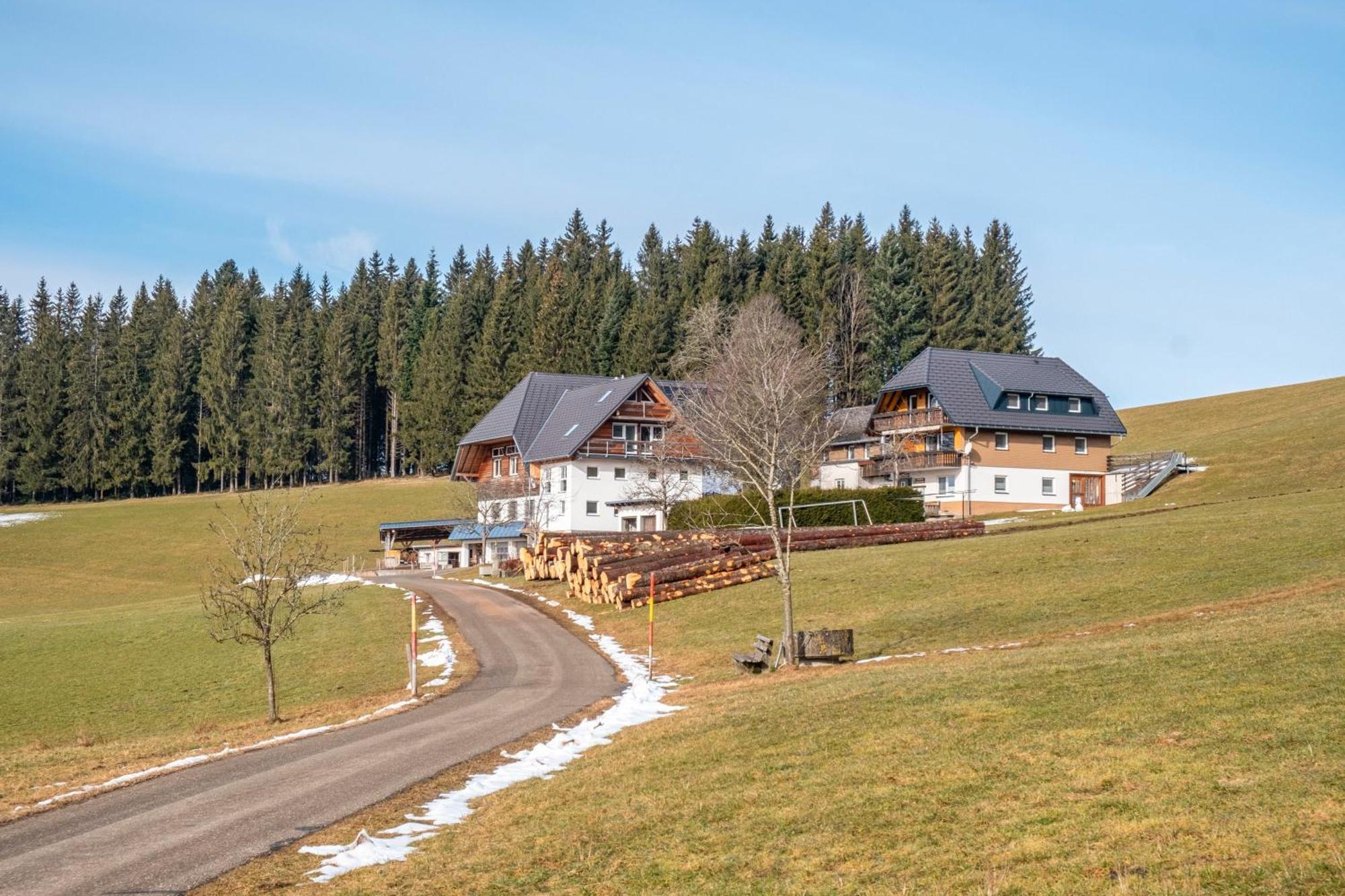 Lorenzenhaeusle Titisee-Neustadt Exterior foto
