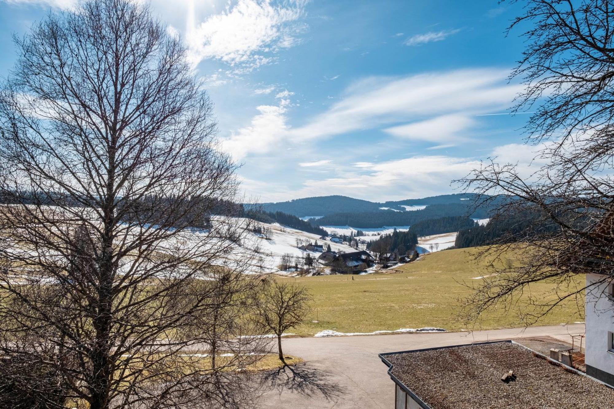 Lorenzenhaeusle Titisee-Neustadt Exterior foto