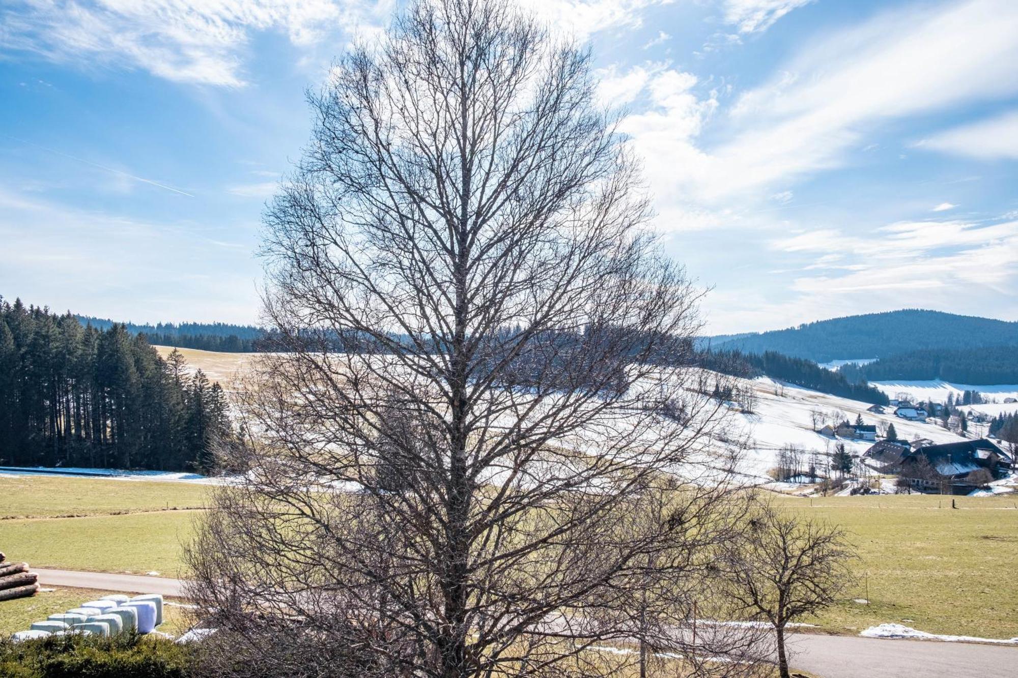 Lorenzenhaeusle Titisee-Neustadt Exterior foto