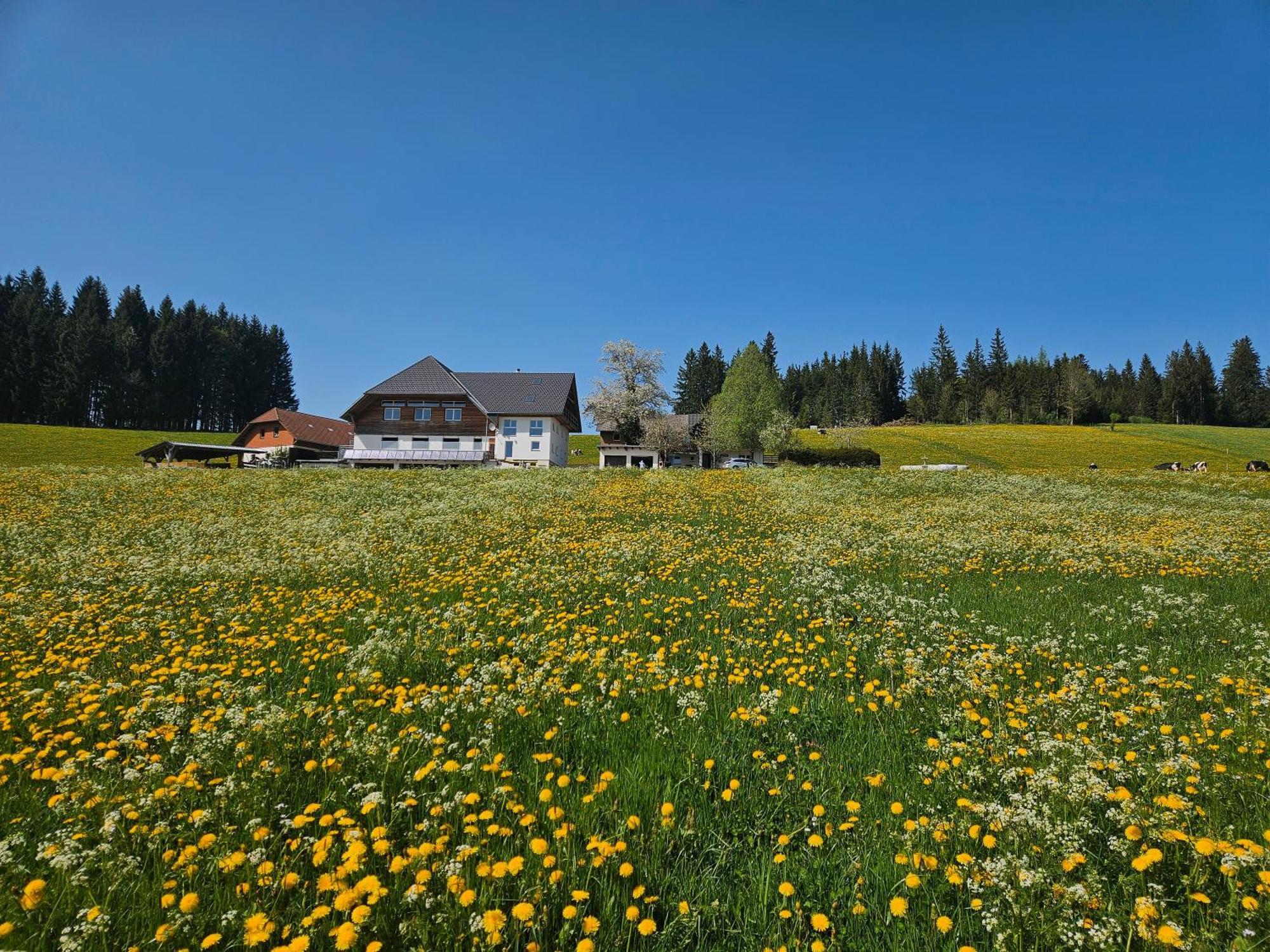 Lorenzenhaeusle Titisee-Neustadt Exterior foto